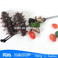 HL011 Delicious Frozen Salted whole Sea Cucumber